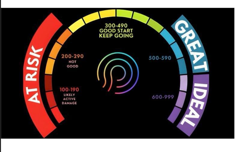 Prysm iO score scale, ranging from At Risk through to Ideal